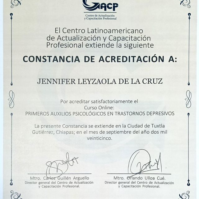 Ampliar imagen: certificate 3