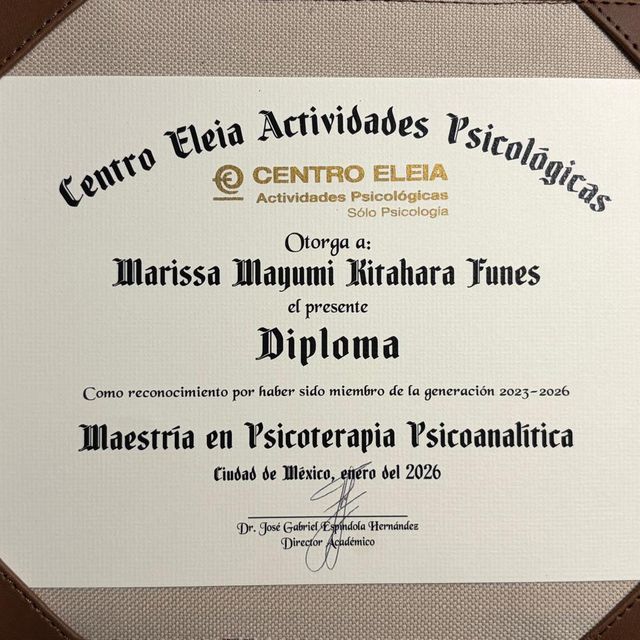Ampliar imagen: certificate 3