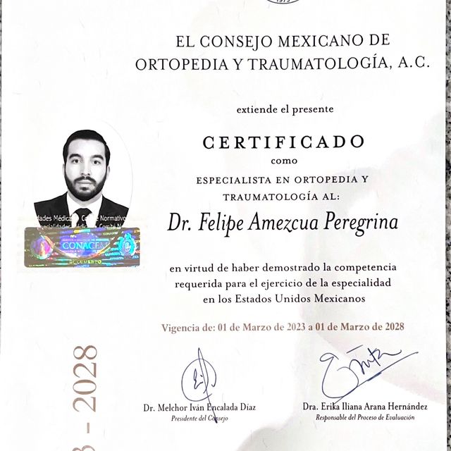 Ampliar imagen: certificate 1