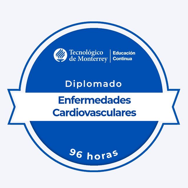 Ampliar imagen: certificate 24