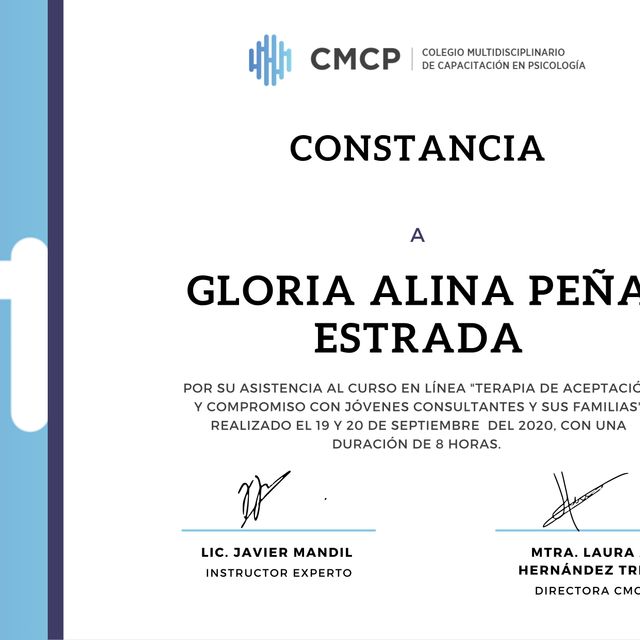 Ampliar imagen: certificate 27
