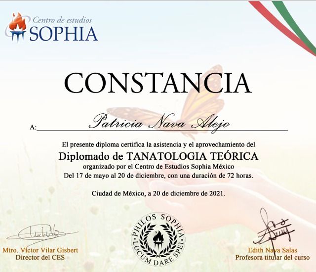 Ampliar imagen: certificate 1