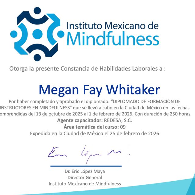 Ampliar imagen: certificate 1