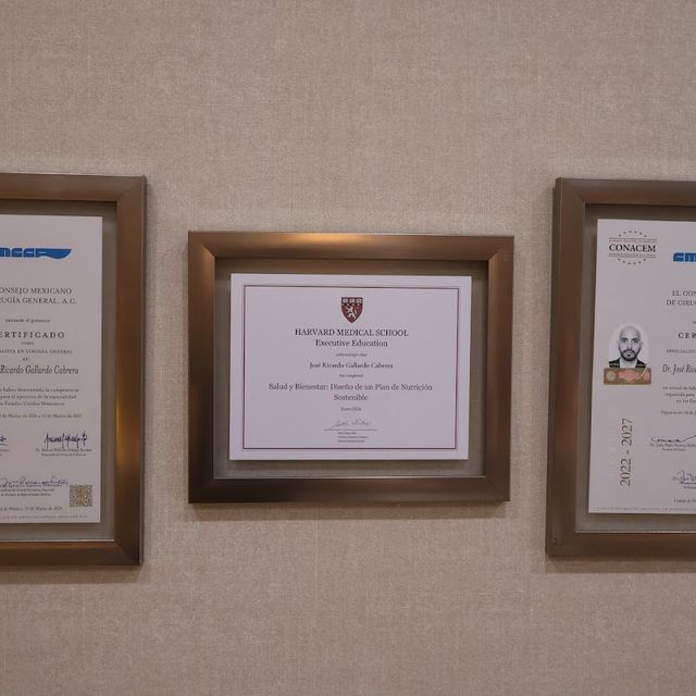 Ampliar imagen: certificate 7