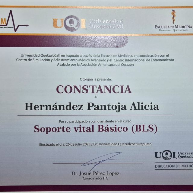 Ampliar imagen: certificate 2