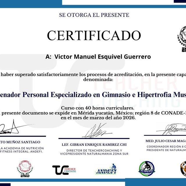 Ampliar imagen: certificate 2