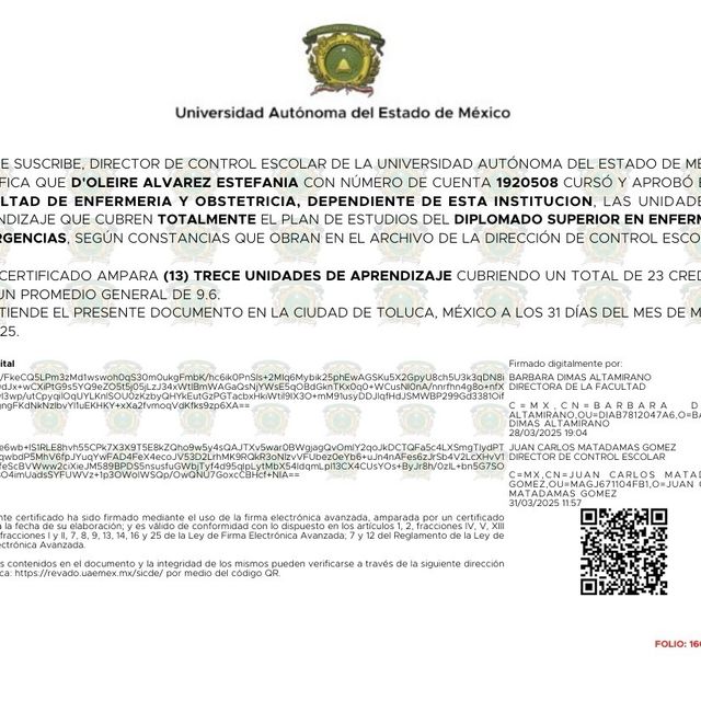 Ampliar imagen: certificate 2