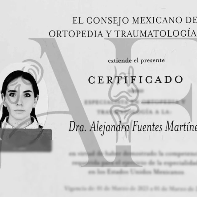 Ampliar imagen: certificate 2