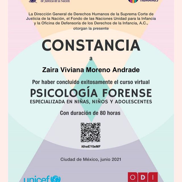 Ampliar imagen: certificate 8