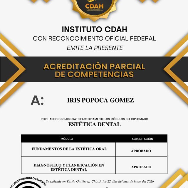 Ampliar imagen: certificate 2