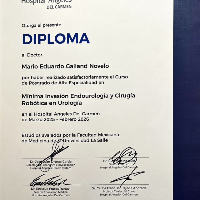Ampliar imagen: certificate 3