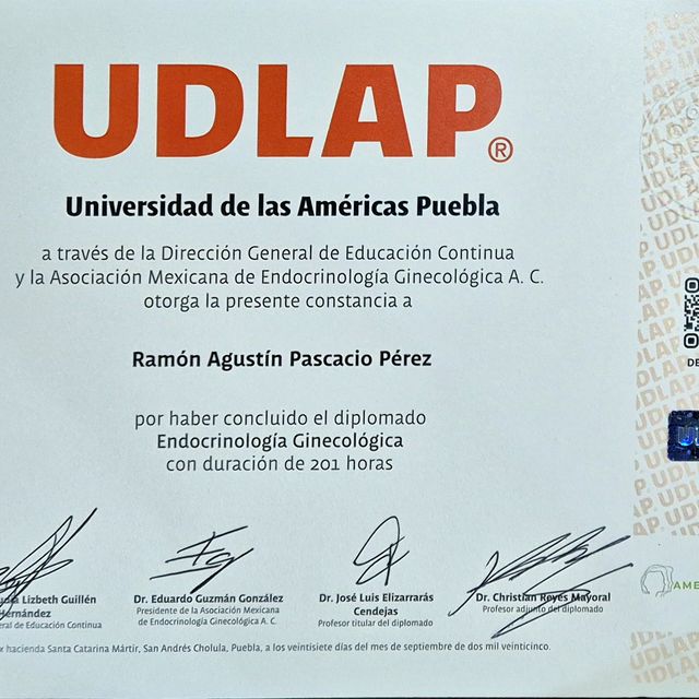 Ampliar imagen: certificate 20