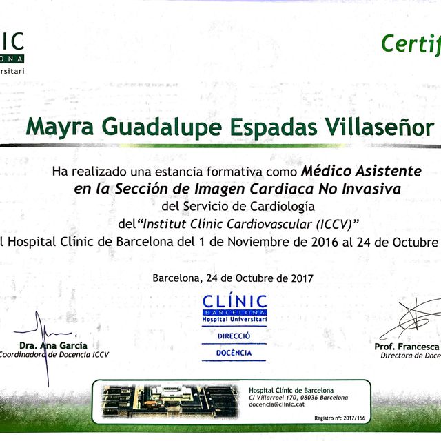 Ampliar imagen: certificate 2