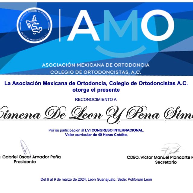 Ampliar imagen: certificate 1