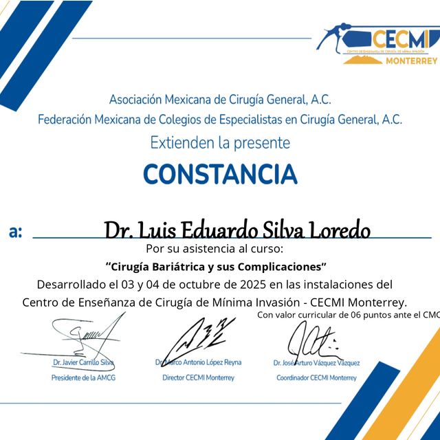 Ampliar imagen: certificate 22