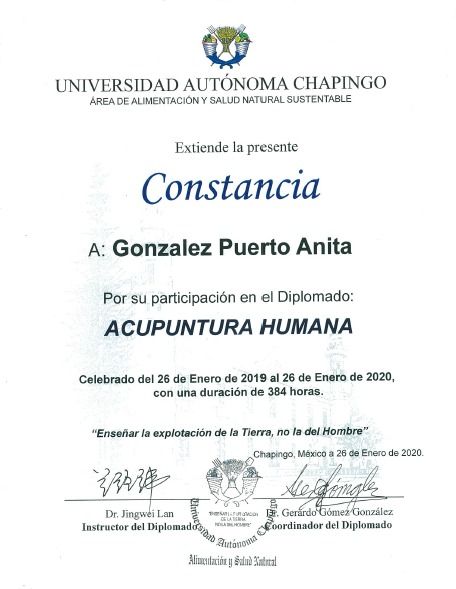 Ampliar imagen: certificate 5