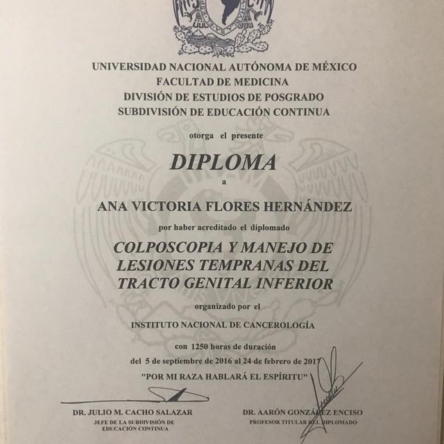 Ampliar imagen: certificate 2