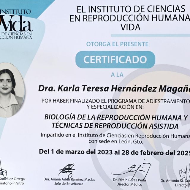 Ampliar imagen: certificate 5
