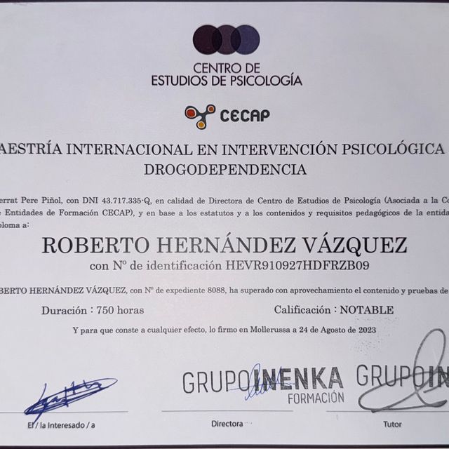 Ampliar imagen: certificate 1