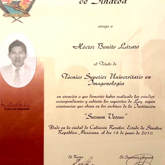 Ampliar imagen: certificate 13