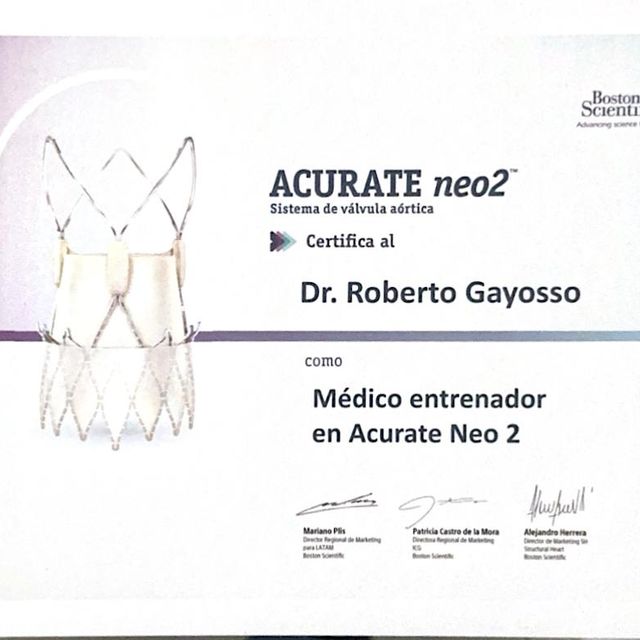 Ampliar imagen: certificate 8