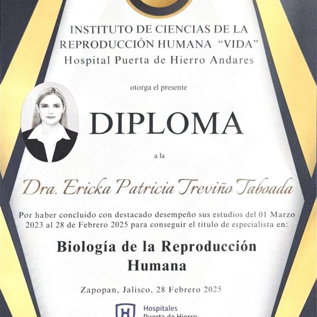 Ampliar imagen: certificate 3