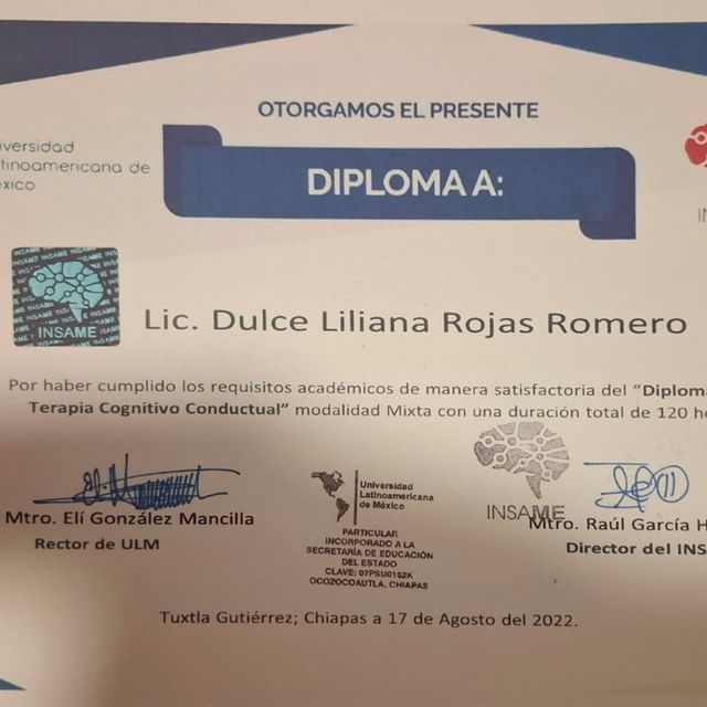 Ampliar imagen: certificate 4