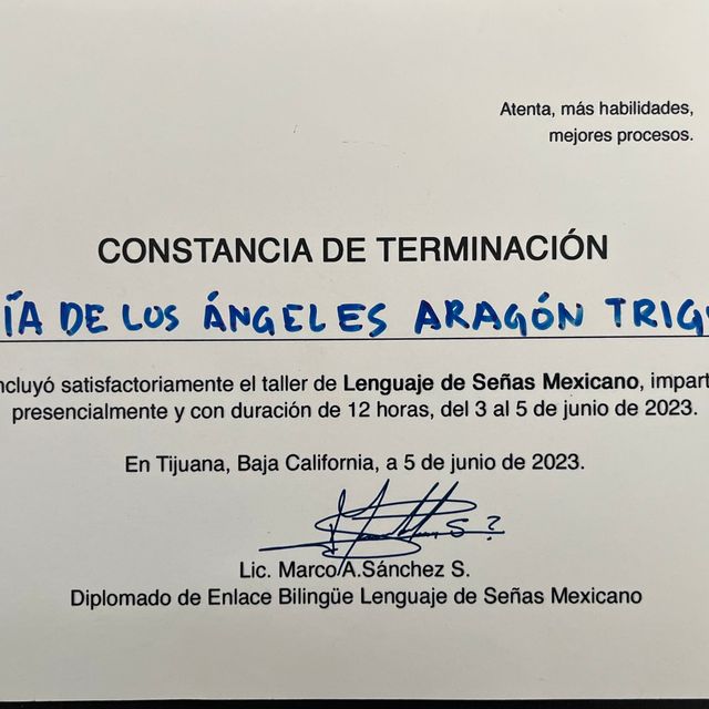 Ampliar imagen: certificate 10