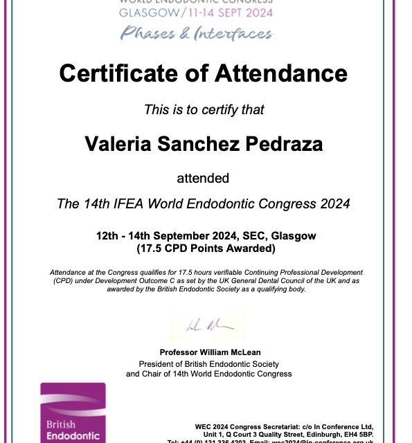 Ampliar imagen: certificate 14