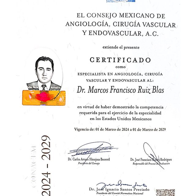 Ampliar imagen: certificate 1