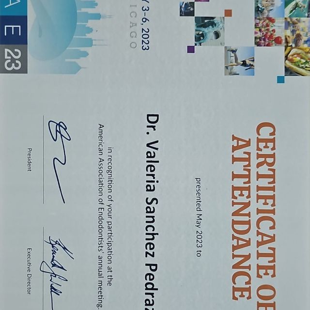 Ampliar imagen: certificate 10