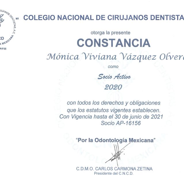 Ampliar imagen: certificate 29