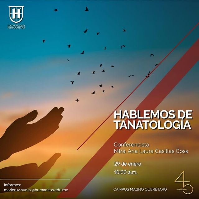 Ampliar imagen: certificate 6