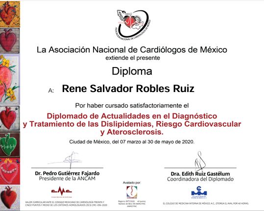 Ampliar imagen: certificate 3