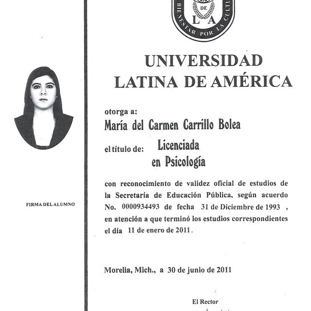 Ampliar imagen: certificate 1