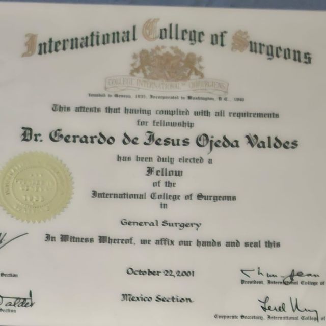 Ampliar imagen: certificate 2