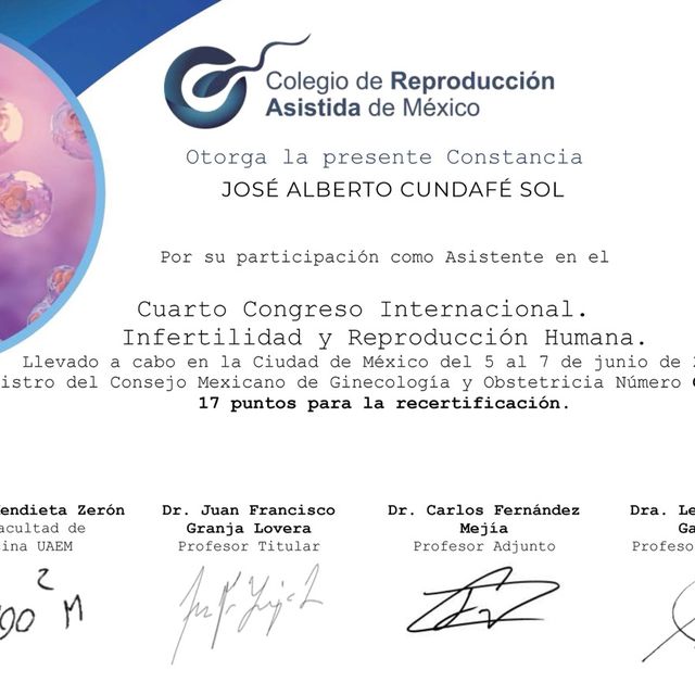 Ampliar imagen: certificate 1
