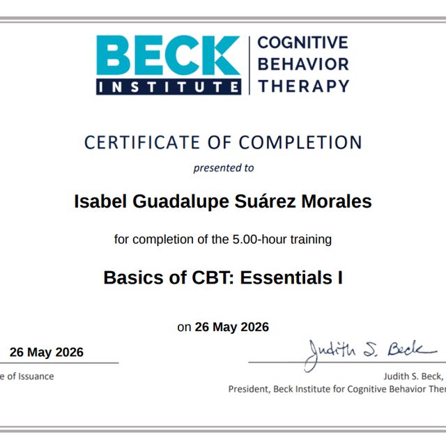 Ampliar imagen: certificate 5