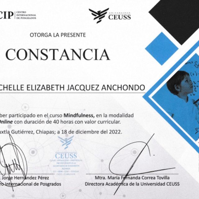 Ampliar imagen: certificate 20