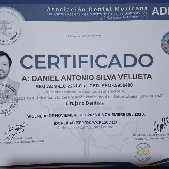 Ampliar imagen: certificate 1
