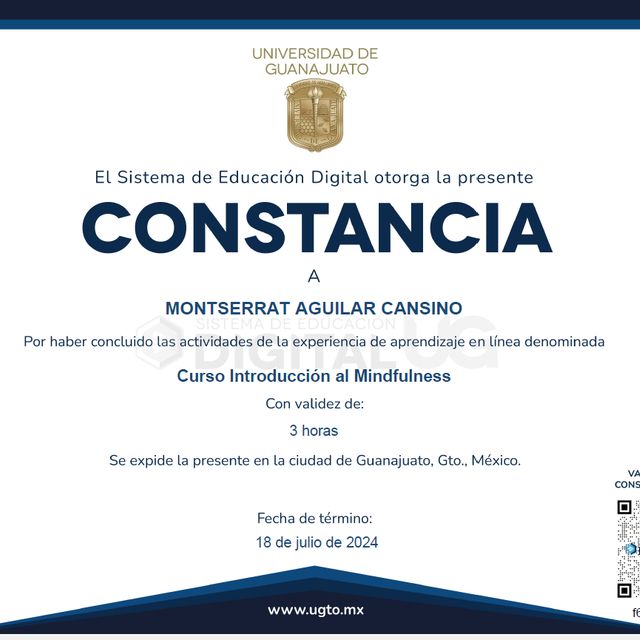Ampliar imagen: certificate 1