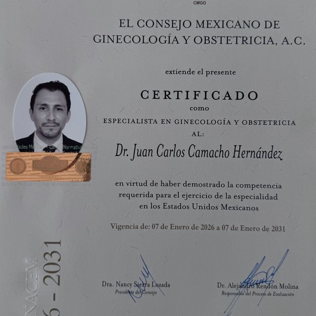 Ampliar imagen: certificate 2