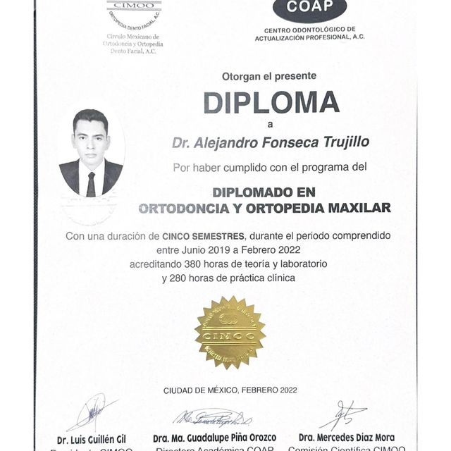 Ampliar imagen: certificate 2