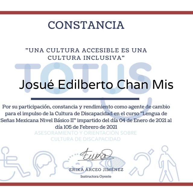 Ampliar imagen: certificate 10