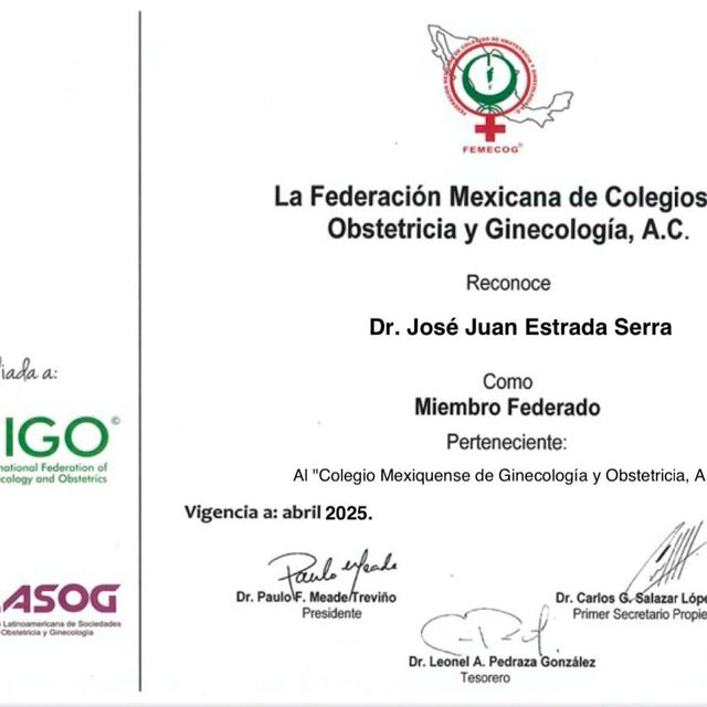 Ampliar imagen: certificate 4