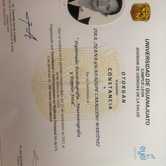 Ampliar imagen: certificate 3