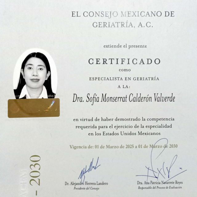 Ampliar imagen: certificate 1