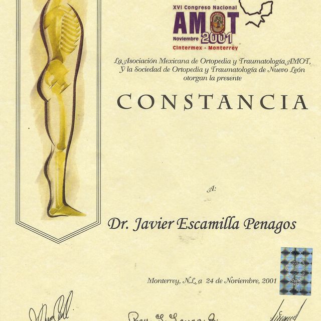 Ampliar imagen: certificate 1