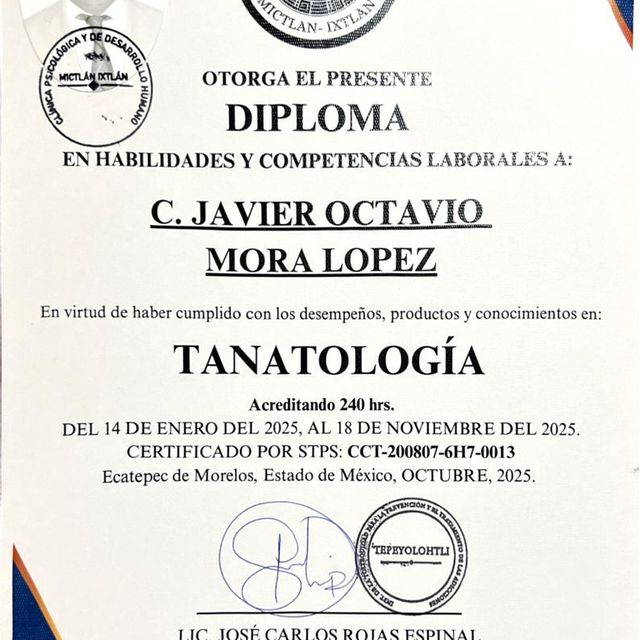 Ampliar imagen: certificate 3