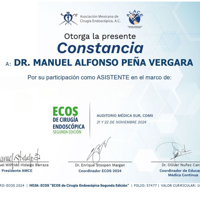 Ampliar imagen: certificate 13